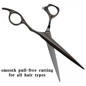 6.3 – inchVG10 Black Professional Hair – cutting Scissors