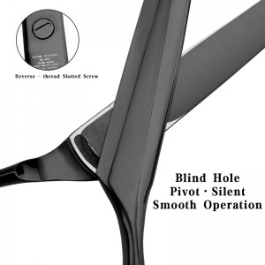6.3 – inchVG10 Black Professional Hair – cutting Scissors