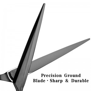 6.3 – inchVG10 Black Professional Hair – cutting Scissors