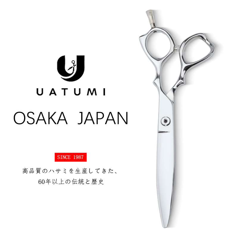 6-inch fat cut Japanese willow leaf cut Japanese VG10 steel Featured Image